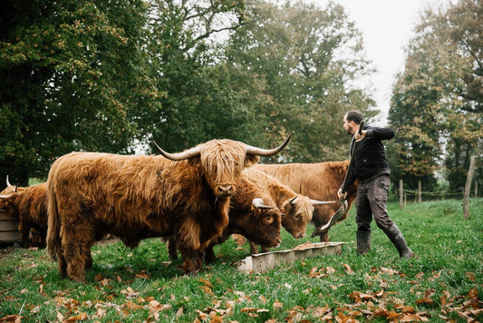 p.154, Les Highlands