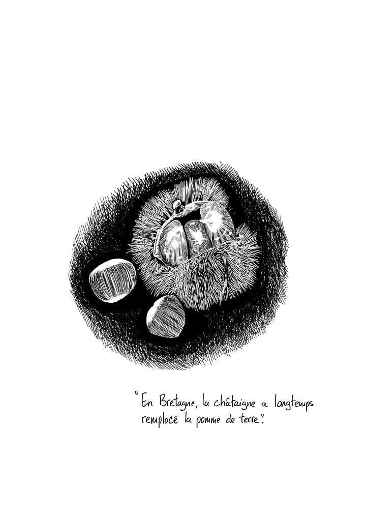 p.158, Les chataignes
