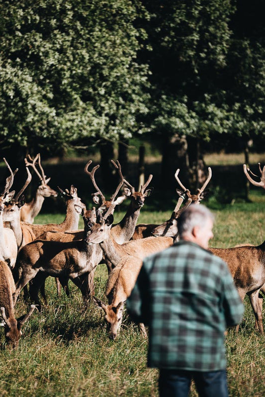 p.181, L'élevage de cerfs