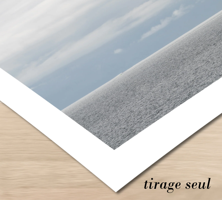 p.042, Laminaires digitées, Laminaria digitata, sur fond rocheux recouvert d’éponge clione, Cliona celata. Rade de Brest – Finistère.