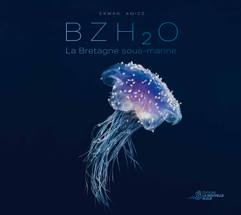 BZH2O, Editions la Nouvelle Bleue, Erwan Amice