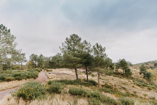 p.100, Le Val sans Retour