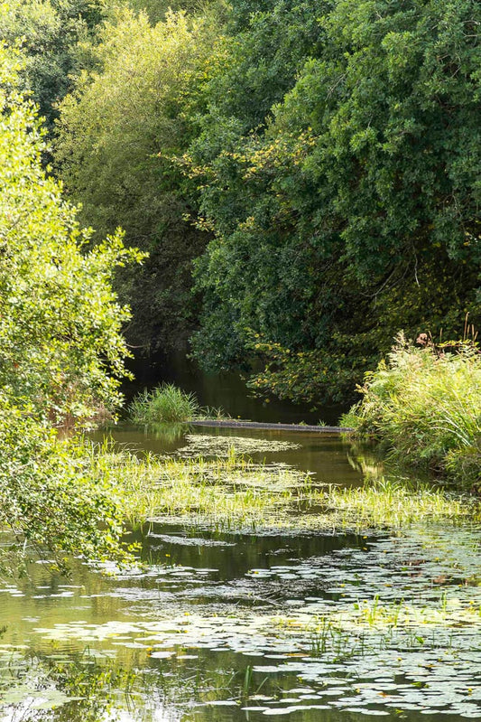 p.012, Le Blavet dans les environs de Bourbriac, Côtes d'Armor.