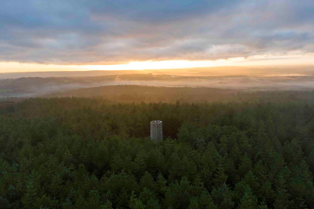 p.013, Le Bois de Coat Liou. Côtes d'Armor.