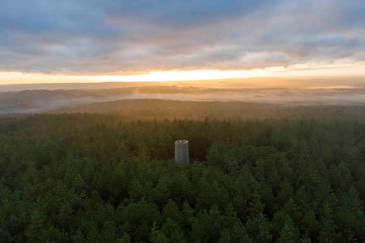 p.013, Le Bois de Coat Liou. Côtes d'Armor.