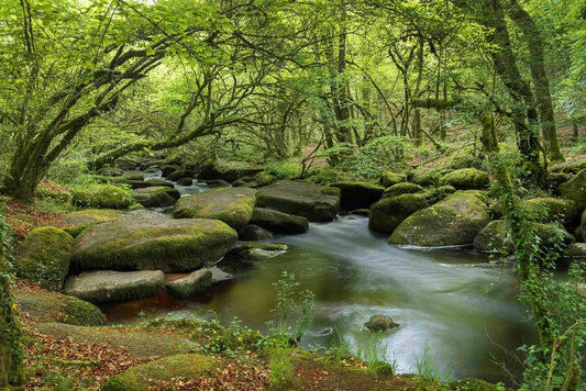 p.024, Le chaos rocheux de Toul-Goulic au milieu duquel serpente le Blavet, Côtes d'Armor.