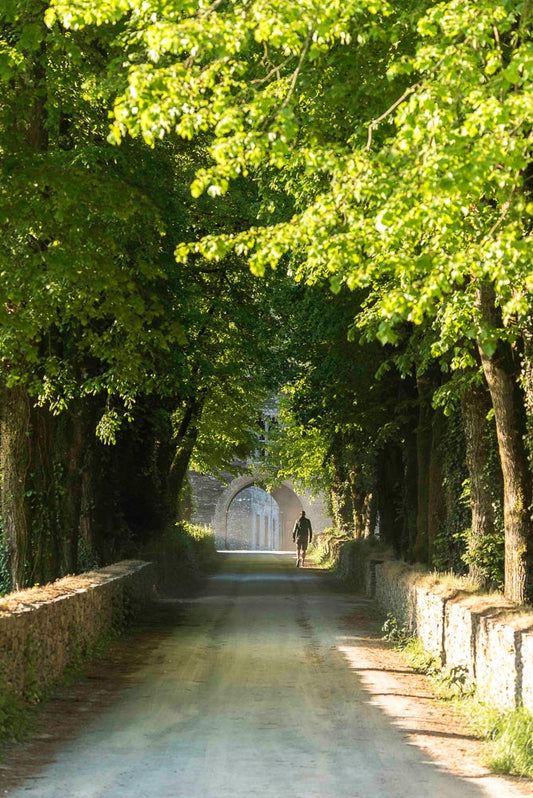 p.041, L'arrivée sur l'Abbaye de Bon-Repos,Côtes d'Armor.